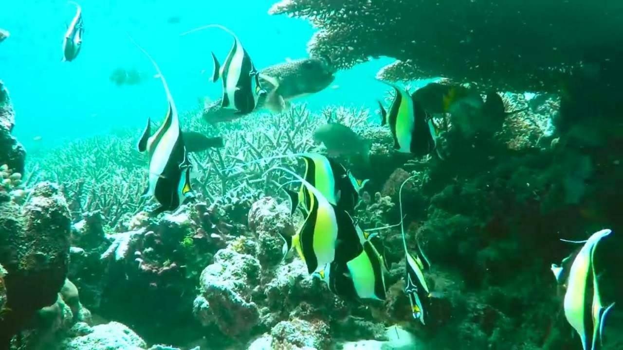 Pousada Vale Encantado São Miguel dos Milagres Esterno foto